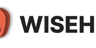 Wisehub Logo